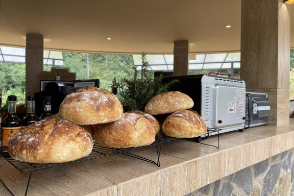 Thử thách của Laan