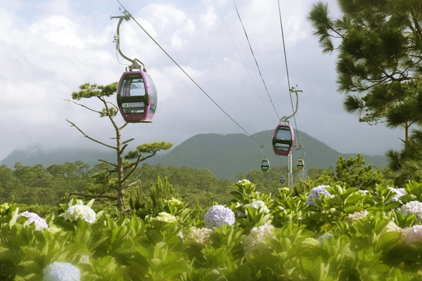 Robin Hill Cable Car